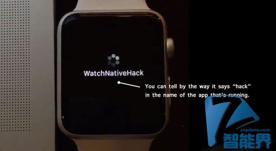 Apple Watch SDK被黑？